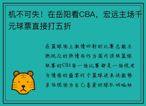 机不可失！在岳阳看CBA，宏远主场千元球票直接打五折