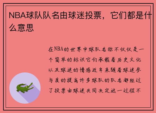 NBA球队队名由球迷投票，它们都是什么意思