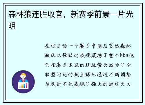 森林狼连胜收官，新赛季前景一片光明