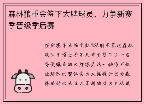 森林狼重金签下大牌球员，力争新赛季晋级季后赛