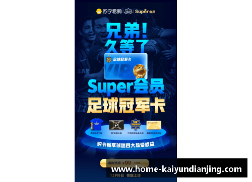 开云电竞球员们展现出技巧与毅力，争夺最终胜利 - 副本